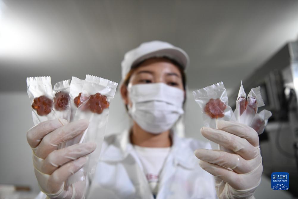 云顶国际登录官网7610,com